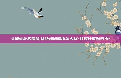 交通事故不理賠,法院起訴程序怎么樣?并預計可賠多少?