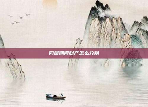 同居期間財產怎么分割