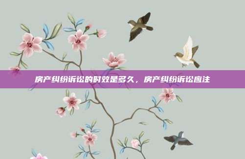 房產糾紛訴訟的時效是多久,房產糾紛訴訟應注