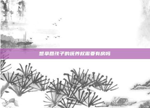 想拿回孩子的撫養權需要有房嗎