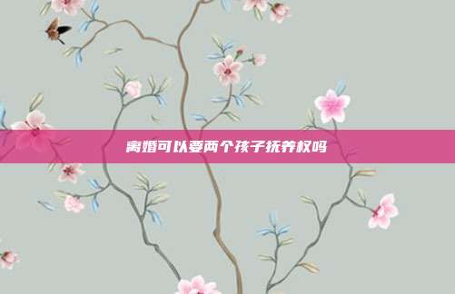 離婚可以要兩個孩子撫養(yǎng)權嗎