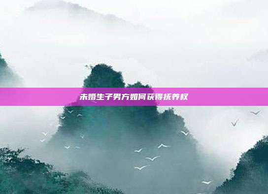 未婚生子男方如何獲得撫養(yǎng)權(quán)