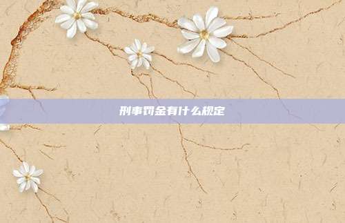 刑事罰金有什么規(guī)定