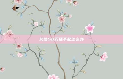 欠債50萬(wàn)還不起怎么辦