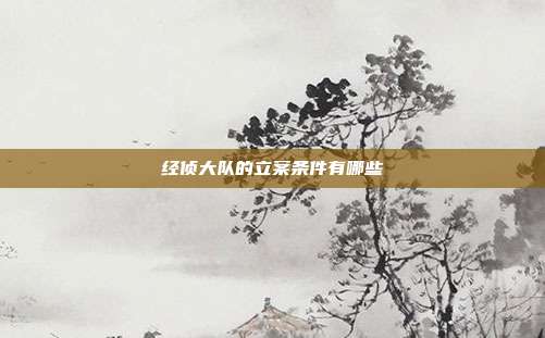 經(jīng)偵大隊的立案條件有哪些