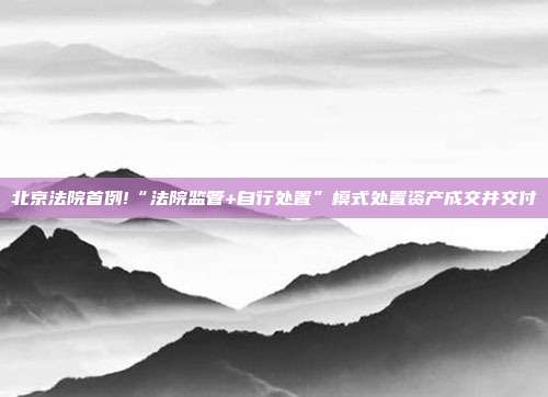 北京法院首例!“法院監管+自行處置”模式處置資產成交并交付