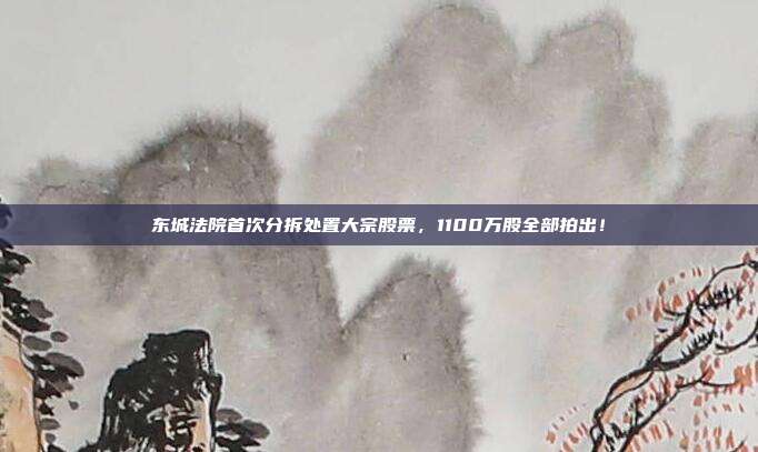 東城法院首次分拆處置大宗股票,1100萬股全部拍出!
