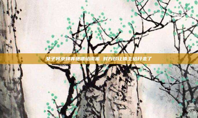 女子將京牌奔馳借給閨蜜 對方卻讓債主給開走了
