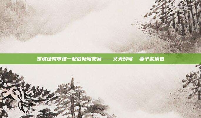 東城法院審結(jié)一起危險(xiǎn)駕駛案——丈夫醉駕  妻子欲頂包